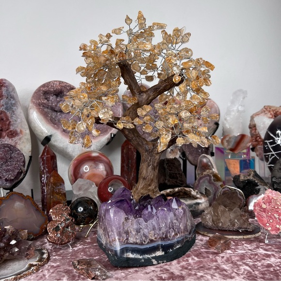 Citrine Tree๐๐๏ธ๐ RB1 - Picture 4 of 6